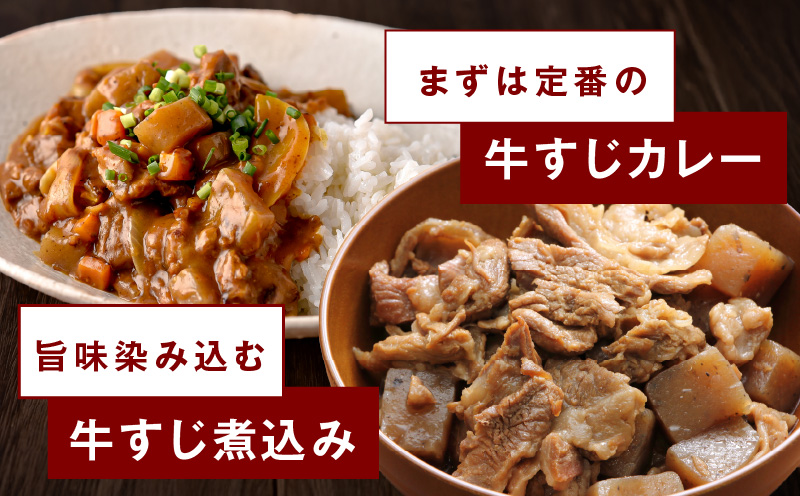 牛すじ肉 総量 1kg 真空パック 500g×2P【氷温熟成×極味付け 牛肉 お肉 小分け 冷凍 SDGs フードロス カレー 煮込みに】 mrz0229