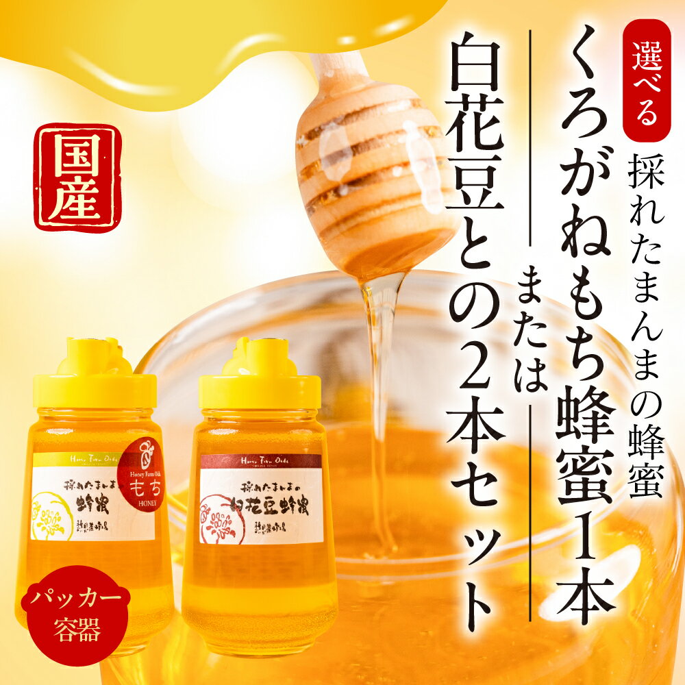 【ふるさと納税】 国産純粋はちみつ【選べるセット！】くろがねもち蜂蜜 450g ☆液だれしにくいパッカー容器入り☆ 蜂蜜 ハニー ボトル入り 非常食 防災 岐阜県 大垣市