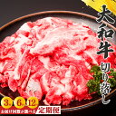 【ふるさと納税】【定期便】奈良県産黒毛和牛 大和牛 切り落し 500g （250g×2）｜ 肉 にく ニク お肉 牛肉 黒毛 和牛 赤身 国産 大和牛 切り落とし 冷凍 奈良県 五條市