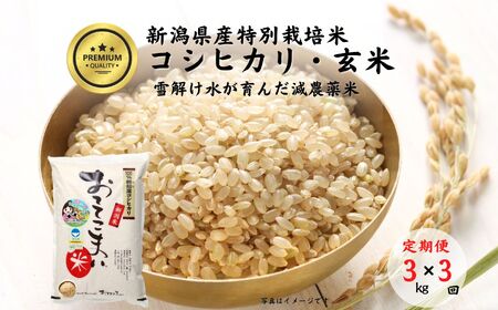 【3ヶ月定期便】新潟県産 特別栽培米コシヒカリ【玄米】3kg(1袋)×3回毎月 9kg「おててこまい」100%根知産 減農薬 専門家お墨付き 令和5年産 産地直送 糸魚川