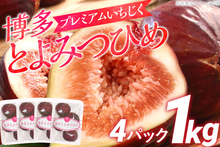 博多とよみつひめ 1,000g（４パック）【2025年8月～10月に発送予定】 CD23