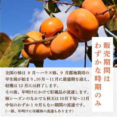 ふるさと納税 北九州市 福岡県産 【優等品】博多秋王 約1.75kg(6玉入り)【2025年11月上旬より順次発送】 |  | 03