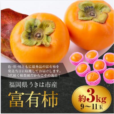 ふるさと納税 うきは市 【先行予約】西見柿農園 富有柿 9玉から11玉(約3kg)【2026年11月上旬より順次発送予定】 |  | 01