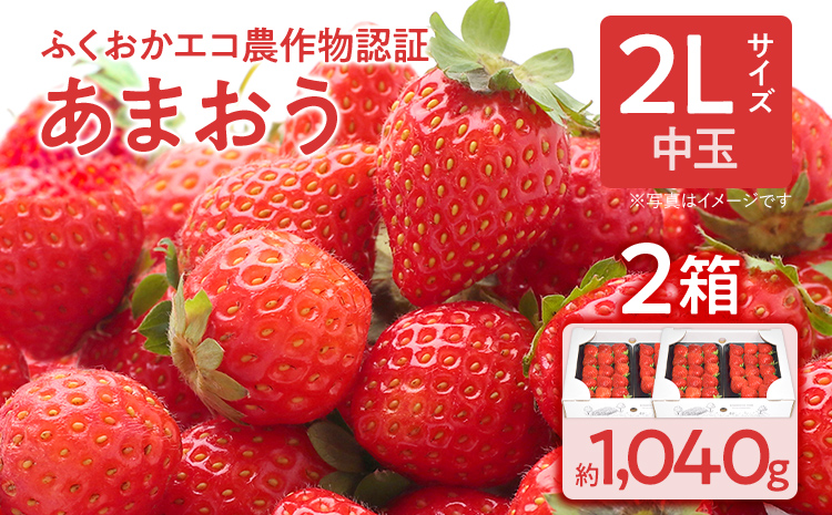 ふくおかエコ農作物認証あまおう 2Lサイズ 2箱セット あまおう イチゴ 苺 いちご フルーツ 果物 くだもの 福岡県産 お取り寄せグルメ お取り寄せ 福岡 お土産 九州 福岡土産 取り寄せ グルメ 