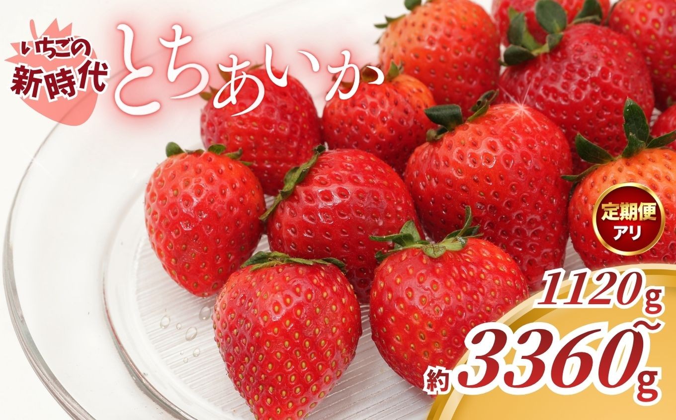 
                  【2027年 先行予約】いちごの新時代「とちあいか」280g×4P（1120g）定期便あり 1回～3回｜栃木県 矢板市産
                