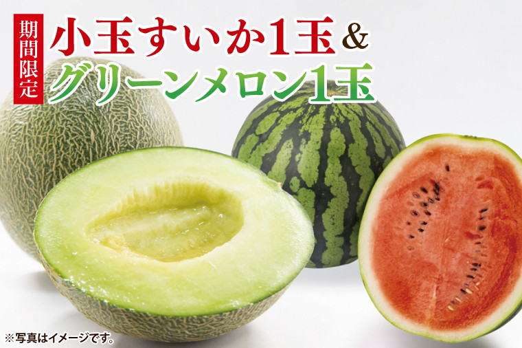 
                  先行予約 グリーンメロン 小玉 スイカ 西瓜 1玉 セット 山崎農園 産地直送 お取り寄せ 夏 旬 茨城県 阿見町 すいか 西瓜 メロン 果物 くだもの フルーツ 国産 甘い 送料無料【2026年5月下旬～6月下旬頃順次発送予定】（70-03-1）
                