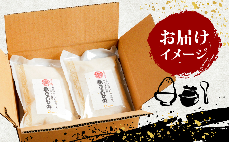 令和7年産 コシヒカリ 魚乃まいひめ カルペイン栽培 5kg 精米 秀長水産 三間米 お米 米 環境保全 カルペイン 鯛 真鯛 魚肥 使用 こめ コメ kome 小分け お弁当 弁当 おにぎり ふっくら ツヤツヤ 美味しい 甘い 備蓄 防災 産地直送 数量限定 国産 愛媛 宇和島 G016-016007