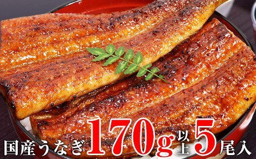 490.【うなぎ屋かわすい】特大サイズ国産うなぎ蒲焼き5本セット（合計850g）(A490-1)