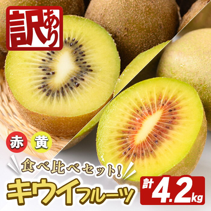 【ふるさと納税】＜先行予約受付中！2026年10月以降順次発送予定＞【訳あり】常陸大宮産 キウイ 食べ比べセット 計4.2kg キウイ キウイフルーツ 果物 フルーツ 青果物 食べ比べ セット 先行予約 訳あり【こばしファーム】【ho1652】