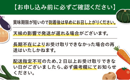 【先行予約】青肉メロン 大玉1玉 [AJAH029] メロン