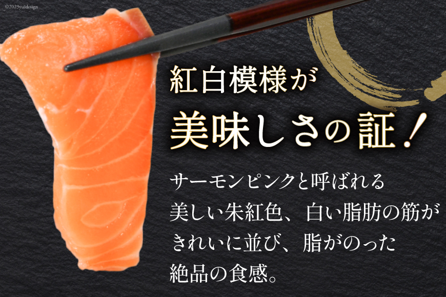 ノルウェー産 アトランティックサーモン 総重量 1kg (正味重量850g) [カネダイ 宮城県 気仙沼市 20565509] 魚 魚介類 サーモン 刺身 アトランティック アトラン 小分け 冷凍 鮭 さけ 訳あり ノルウェー
