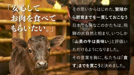 飛騨牛 ウデ スライス すき焼き しゃぶしゃぶ用　600g 牛肉 和牛 肉 御中元 お中元 うで［Q112］