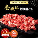 【ふるさと納税】【全3回定期便】 壱岐牛 切り落とし 1kg《壱岐市》【株式会社イチヤマ】[JFE021] 冷凍配送 黒毛和牛 A5ランク 定期便 赤身 肉 牛肉 切落し 牛丼 煮物 煮込み 煮込み料理 すき焼き しゃぶしゃぶ 108000 108000円 すき焼用 しゃぶしゃぶ用 切り落とし