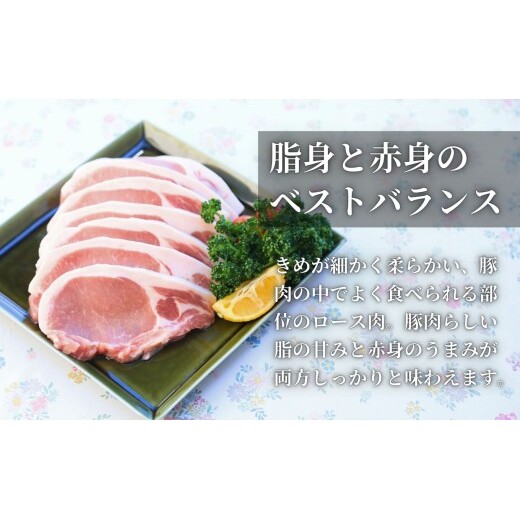 【12回定期便 総計12kg！真空個包装で便利】ありたぶた ロース 厚切り とんかつ用 12ヶ月 連続 1kg（100g×10パック）【有田まちづくり公社】佐賀県産 有田町産 ブランド豚 ありたぶた 