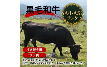 【定期便6回】土佐黒毛和牛ウデ肉すき焼き用 計4.8kg（800g×6ヶ月) | たけうちミート定期便3Iコース ウデ肉 肩肉 最上位等級 A4 A5  すきやき  スキヤキしゃぶしゃぶ用 鍋 焼肉用