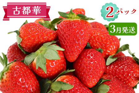 古都華 2パックセット [3月] 発送 [3232]