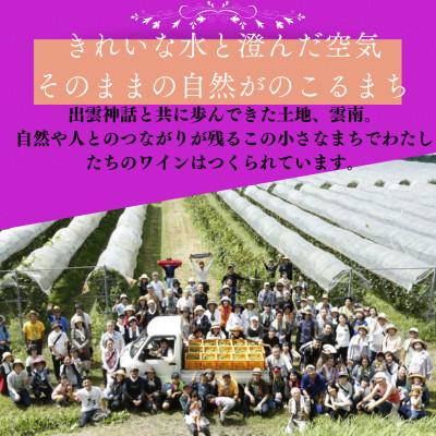 ふるさと納税 雲南市 シャルドネ・ジュースセット(辛口白ワイン1本・ぶどうジュース1本) |  | 01