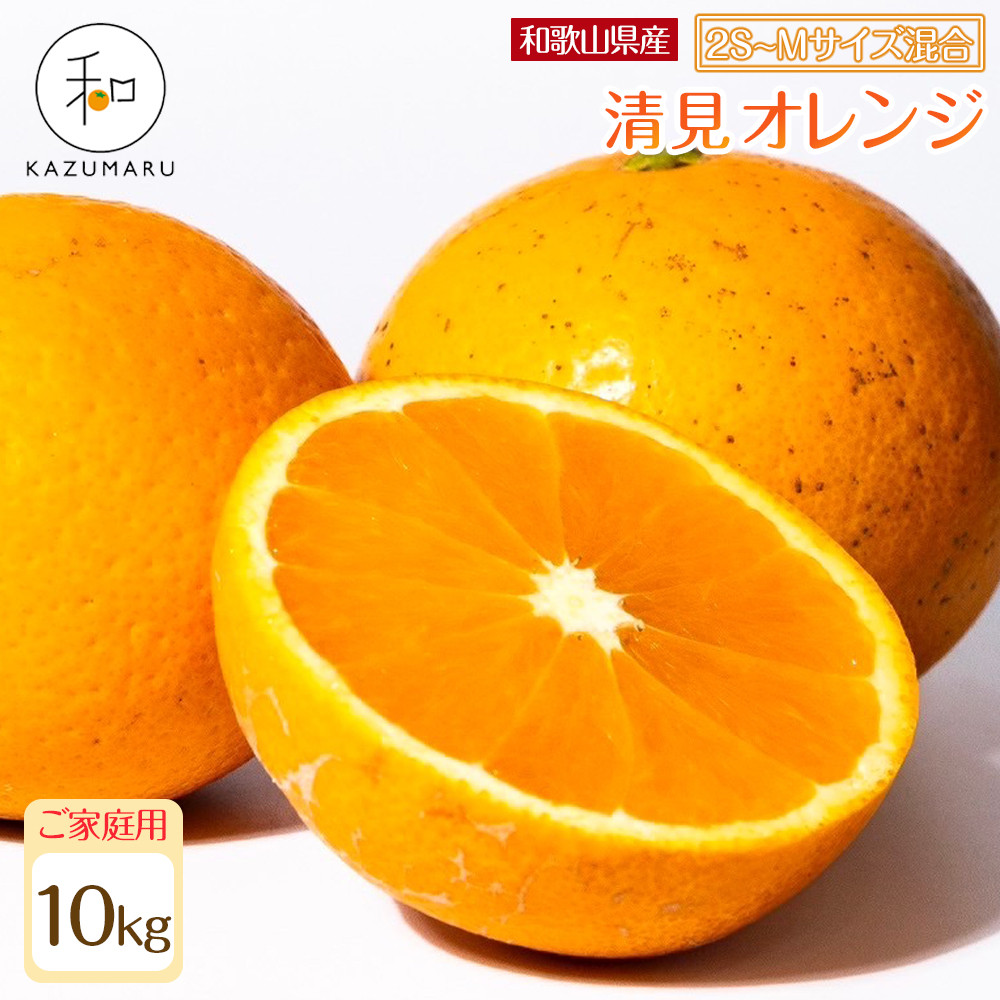 家庭用 森本農園の手選別 小粒清見オレンジ 約10kg 和歌山県産 2S～Mサイズ混合 ［北海道・沖縄・離島配送不可］［2027年2月上旬から順次発送予定］［RN95］DJ90095