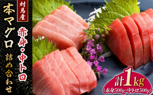 対馬産 本マグロ 1kg（赤身500g、中トロ500g） ≪対馬市≫【桐谷商店】 トロの華 対馬 新鮮 マグロ トロ 鮪 刺身 鮮度抜群 [WAQ051]