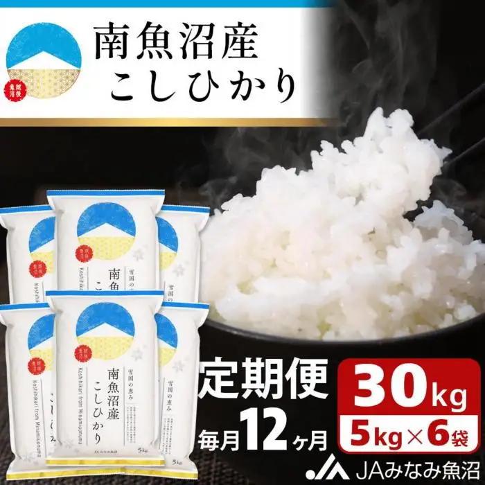 【JAみなみ魚沼定期便】南魚沼産こしひかり（30kg×全12回）精米HACCP認定工場 特A獲得｜こしひかり