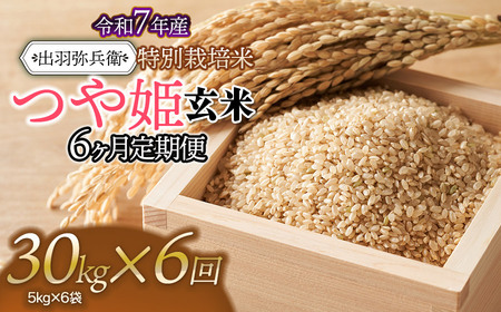 【令和7年産】【定期便6ヶ月】特別栽培米 つや姫 【玄米】 30kg（5kg×6袋）×6ヶ月　山形県鶴岡市産　出羽弥兵衛