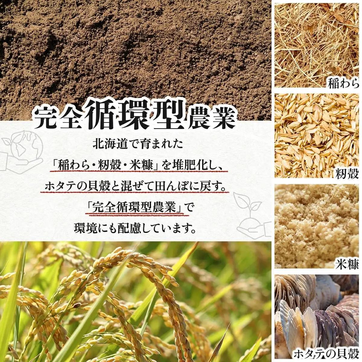 《令和 7 年産》お米 ゆめぴりか 10kg｜『100%自家生産精 米』善生さんの自慢の米 ※一括発送 北海道 岩見沢市 a104-117