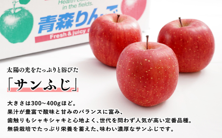 年明け 吹田りんご園 山の完熟サンふじ約3kg 【吹田りんご園・青森りんご・平川市広船産・12月】