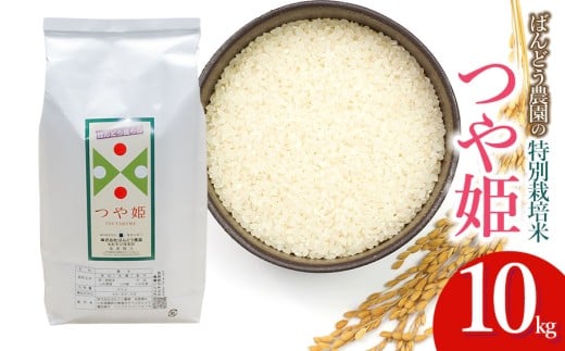 【令和7年産】【新米】　ばんどう農園の特別栽培米つや姫 白米10kg　山形県鶴岡市産　K-784