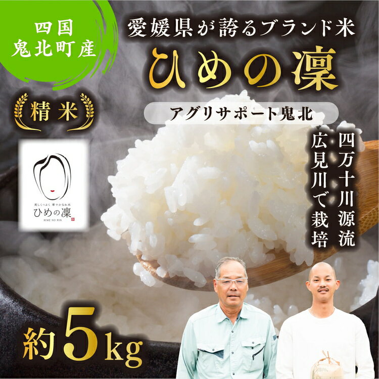 【ふるさと納税】【先行予約】【令和8年度産新米】ひめの凜 約5kg （精米済み） | 精米 お米 米 白米 人気 ブランド ランキング 産地直送 愛媛県 鬼北町 四国 国産 内祝い お祝い アグリサポート鬼北 ※離島への配送不可 ※2026年11月上旬～12月下旬頃に順次発送予定