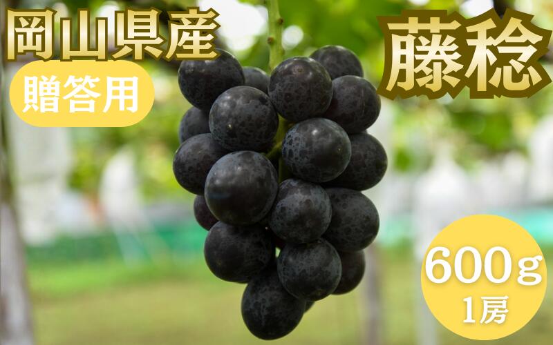 【ふるさと納税】【2026年先行予約】〈贈答用〉8月中旬頃発送予定 藤稔 600g以上 (1房)