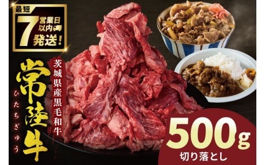 
                  常陸牛切り落とし 500g【常陸牛 国産牛 和牛 牛肉 切り落とし ジューシー 茨城県 水戸市】（NW-5）
                