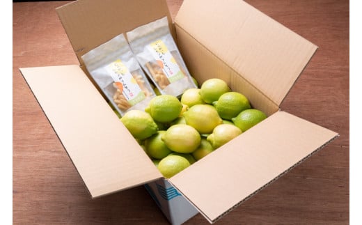 ワックス・防腐剤不使用の皮ごと使えるレモン4㎏とかりんとう2袋セット 【配送時期：9月上旬～4月下旬】