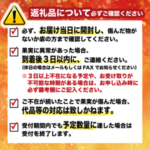 河内晩柑 8kg 河内晩柑 愛なんよ