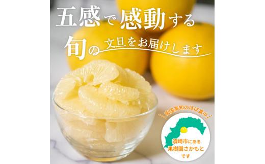 【2025年2月より発送】 高知県産 土佐文旦 贈答用 10kg 優品 時期 土佐 文旦 ぶんたん ブンタン 人気 旬 柑橘 フルーツ 果物 国産 ブランド ビタミン 生産者 産地 高知 須崎 