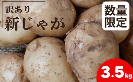 【訳あり】新じゃがいも 3.5kg 大小混合 ジャガイモ 芋 訳ありジャガイモ  