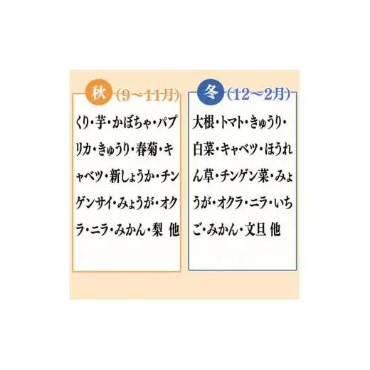 【 野菜 】 野菜果物セット定期便 6回 10～13 種類 セット