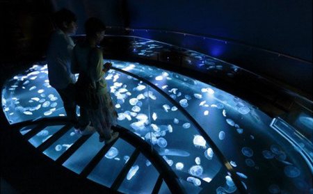 水族館 東京 すみだ水族館 年間パスポート 大人2名 子供1名 チケット 引換券 利用券 入場券 券 スカイツリー 体験 体験チケット 優待券 アクティビティ ペンギン 体験ギフト 体験型 ギフト ペ