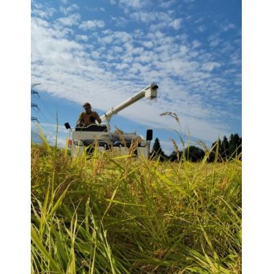 ふるさと納税 十日町市 【毎月定期便】魚沼産コシヒカリ[馬舞] 白米 5kg全6回 |  | 02