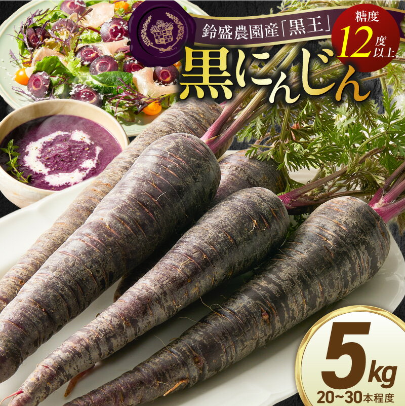 【ふるさと納税】メディア出演多数 期間限定 黒人参 黒王 5kg にんじん 甘い 抗酸化力 塩農法 カラフルにんじん 高糖度 スーパーフード 栄養 生でも食べやすい ブラックキャロット サラダ 華やか 苦みが少ない ジュース 野菜 農作物 鈴盛農園 愛知県 碧南市 送料無料