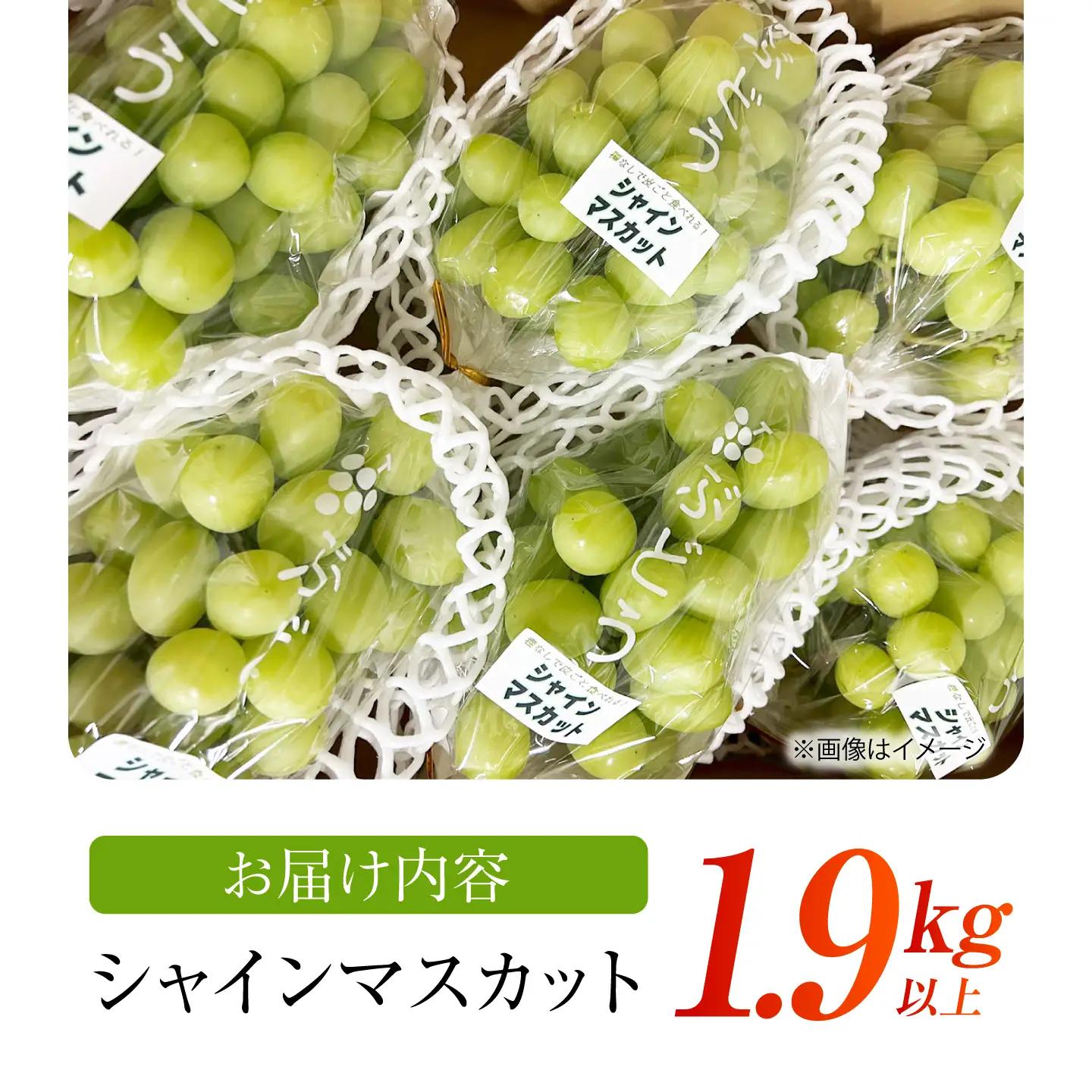 【先行予約】 シャインマスカット 1.9kg以上 【小林農園】 / ブドウ ぶどう 果物 種なし[HAX009]