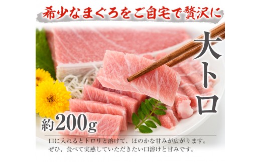 南マグロ贅沢三昧！大とろ・上とろ・中とろ・赤身の鮪の刺身用柵(計約1.4kg) まぐろ 鮪 南まぐろ 南マグロ 大とろ 中とろ 上とろ 魚介 刺し身 刺身 刺身用 さしみ サク 海鮮丼 小分け 便利 