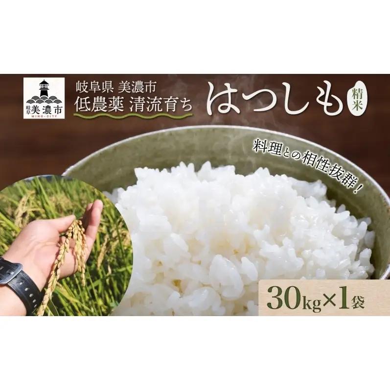 ＜先行予約＞令和8年産 はつしも 精米 30kg×1袋 低農薬 新米 お米 白米 米 ごはん 米 ご飯 ハツシモ R8年産 あっさり ブランド米 お取り寄せ 産地直送 送料無料 美濃グリーン 岐阜県 美濃市