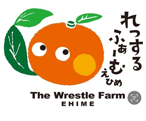 愛果28号 5kg ご家庭用 訳あり レッスルファーム  みかん 愛媛【2025年12月中旬順次発送】先行予約 数量限定 おすすめ 美味しい おいしい グルメ フルーツ くだもの 愛媛県産 人気 柑橘