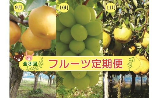 【定期便：全３回】アルコアーナ農園のフルーツ定期便Ｃコース（和梨、シャインマスカット、ラ・フランス）　0148-2606