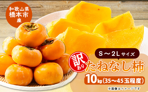 柿【先行受付】柳フルーツ園の訳ありたねなし柿　10kg