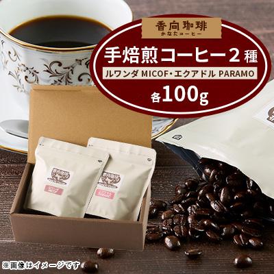 ふるさと納税 天理市 香向珈琲|小さな焙煎所が手焙煎で磨き上げた、透明感あるコーヒー豆(100g×2袋)