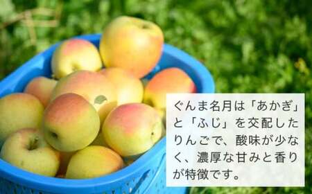 【訳あり】 ぐんま名月 約3kg 6～12玉 ［おぶせファーマーズ］  不揃い 規格外 家庭用 果物 フルーツ りんご リンゴ 林檎 長野県産 信州産 令和7年産 【2025年11月上旬～12月下旬発