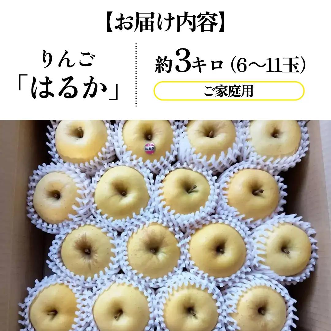 【ご家庭用】りんご はるか 約3kg (6～11玉) (FH003)