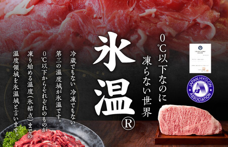 【氷温熟成×極味付け】国産 牛肉 切り落とし 1.2kg 小分け 300g×4P 丸善味わい加工 訳あり