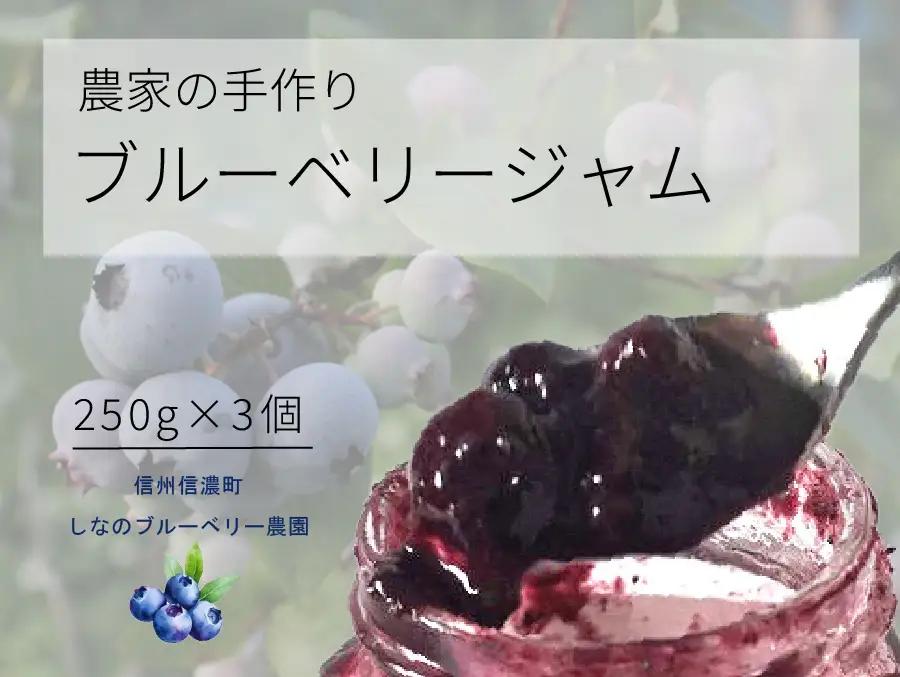 信濃町産「ブルーベリージャム」 250g×3個セット　粒が大きく味の濃いハイブッシュ系にこだわったブルーベリーのジャム【長野県信濃町／しなのブルーベリー農園】